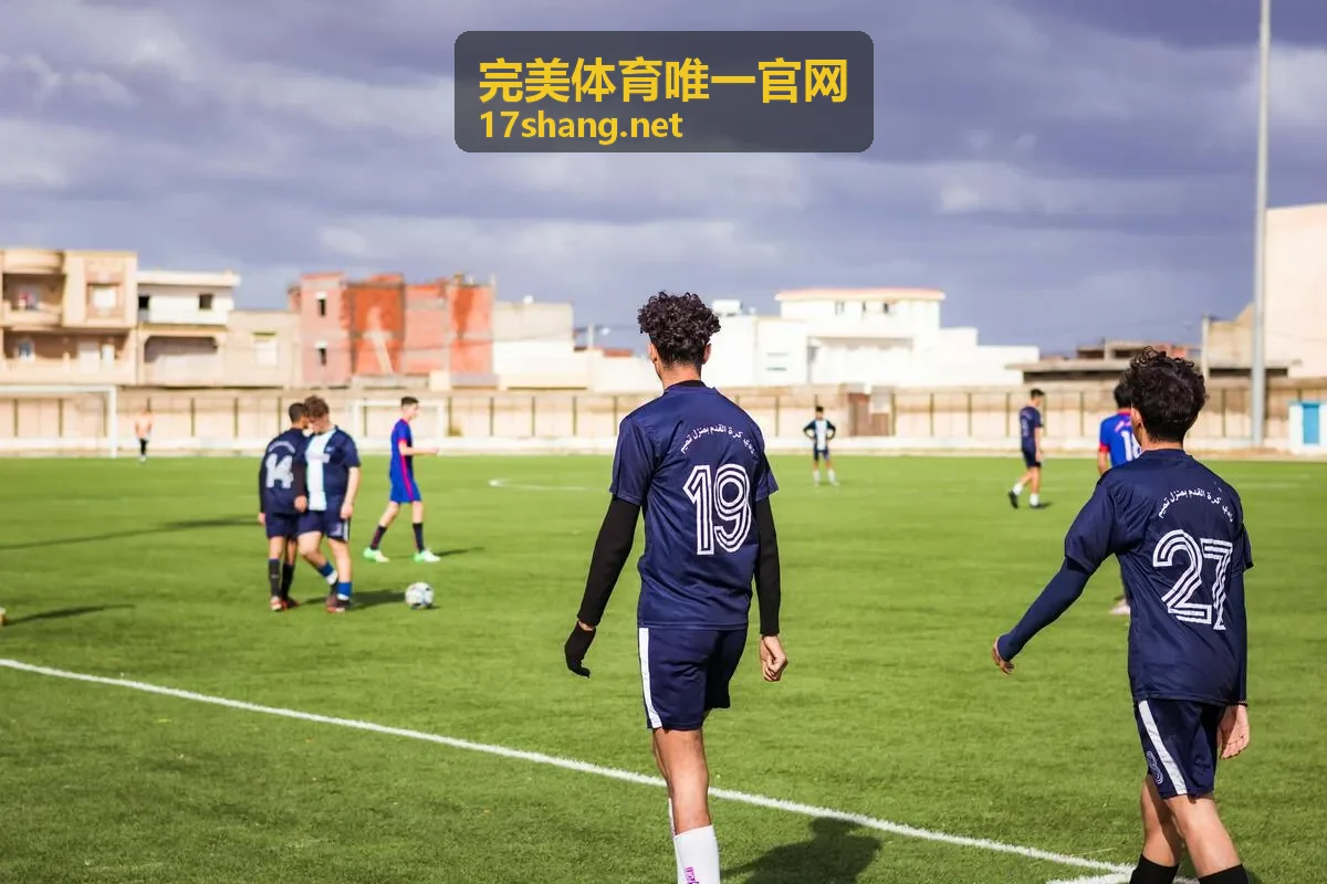 完美体育羽毛球公开赛影像